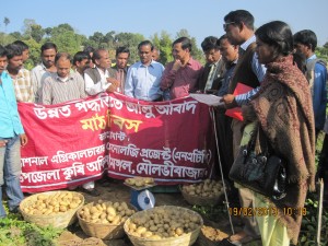আলুর মাঠ দিবস