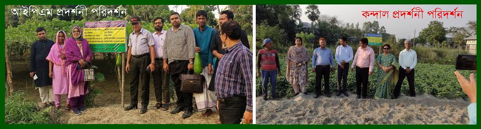 আইপিএম ও কন্দাল প্রদর্শনী পরিদর্শন