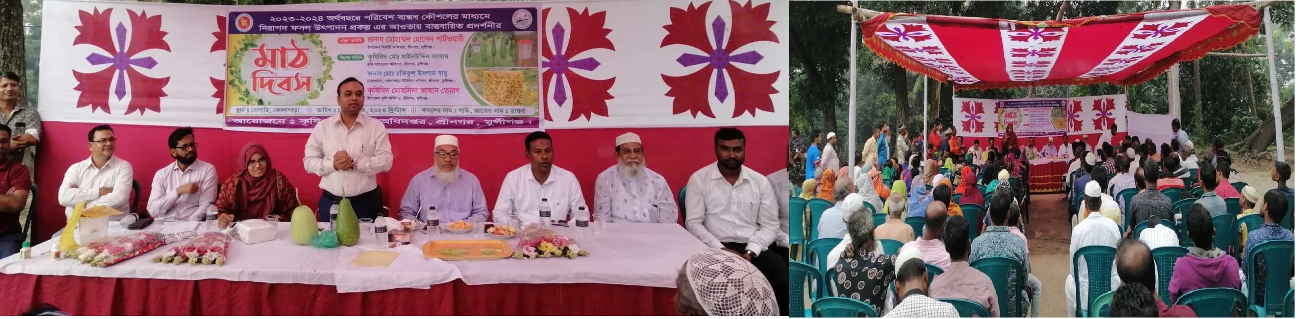 আইপিএম প্রদর্শনীর মাঠ দিবস