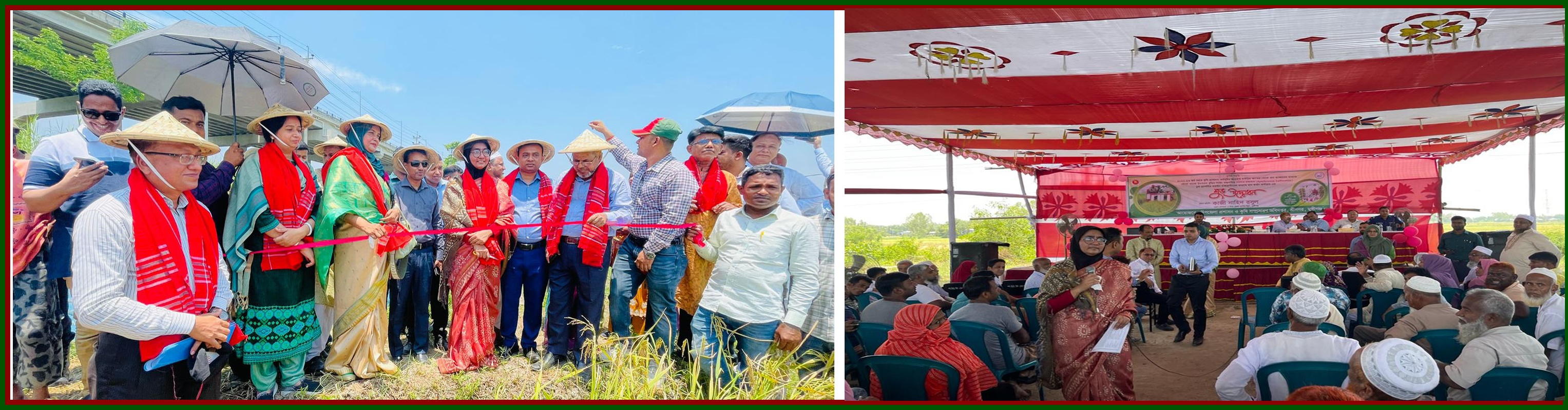 জেলা প্রশাসক, মুন্সীগঞ্জ মহোদয়ের উপস্থিতিতে সমলয়ে চাষাবাদ কার্যক্রম এর কম্বাইন হারভেস্টারের মাধ্যমে ধান কর্তন অনুষ্ঠানের শুভ উদ্ধোধন, কামারখোলা, পাটাভোট, শ্রীনগর