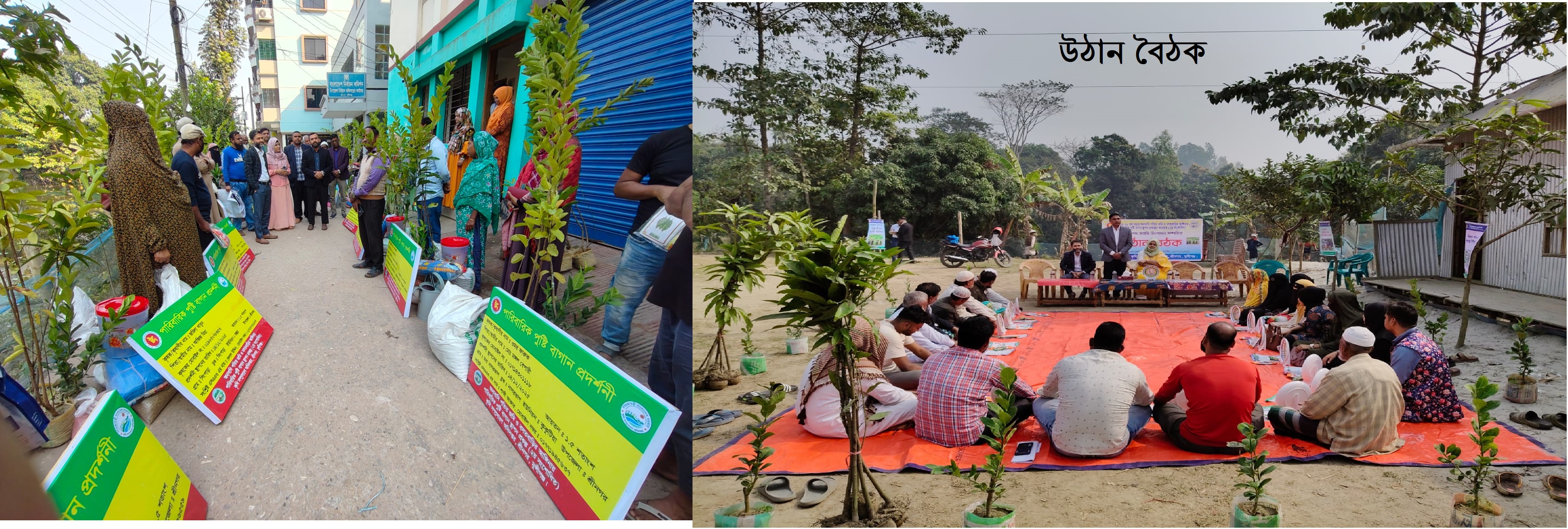 পারিবারিক পুষ্টি বাগান স্থাপন প্রদর্শনীর উপকরণ ভিতরণ ও উঠান বৈঠক