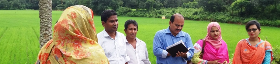 শ্রীপুর প্রদর্শনী
