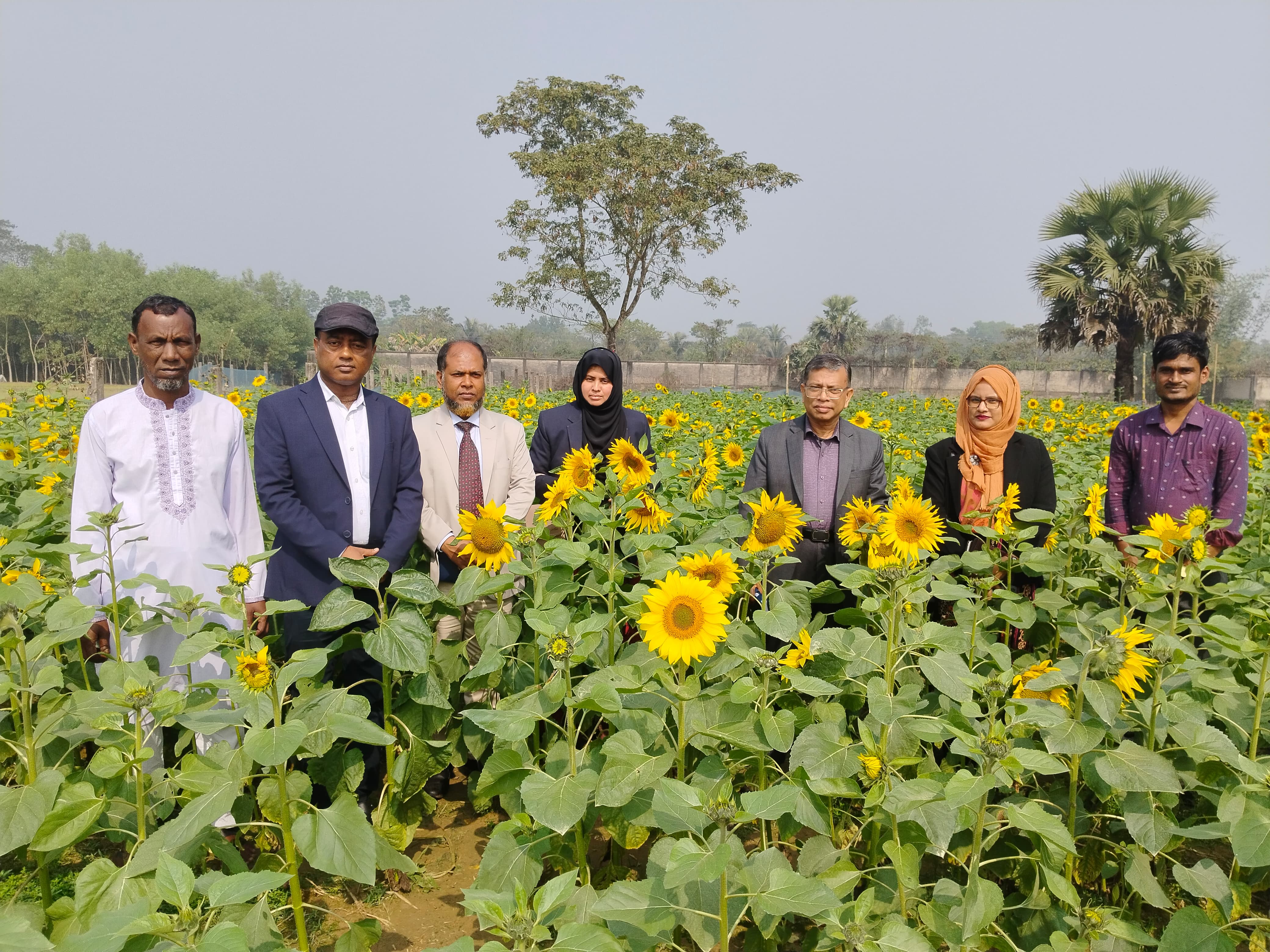 পার্টনার প্রকল্পের আওতায় সূর্যমুখীর প্রদর্শনী পরিদর্শন