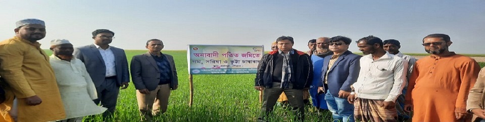 জেলা প্রশাসক সুনামগঞ্জসহ পতিত জমিতে গম, ভূট্টা ও সরিষার আবাদ পরিদর্শন