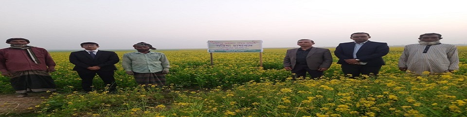 জামালগঞ্জ উপজেলায় সরিষা আবাদ পরিদর্শন