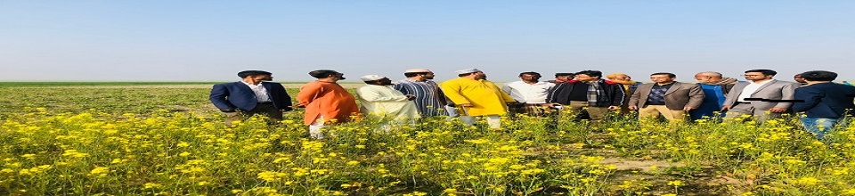 জেলা প্রশাসক সুনামগঞ্জসহ সরিষার জমি পরিদর্শন