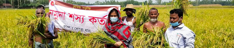 কৃষি সম্প্রসারণ অধিদপ্তর, সৈয়দপুর, নীলফামারী।