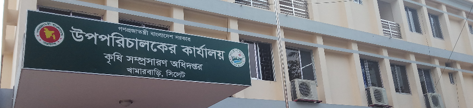 ডিএই, সিলেট অফিস