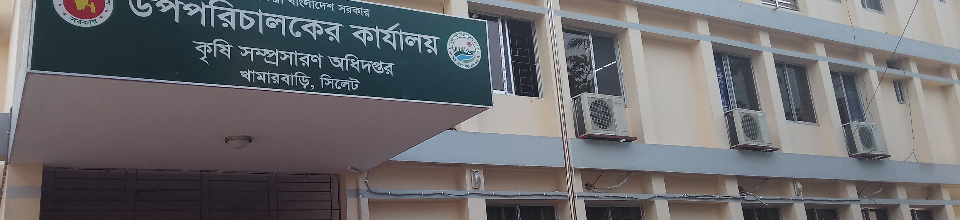ডিএই