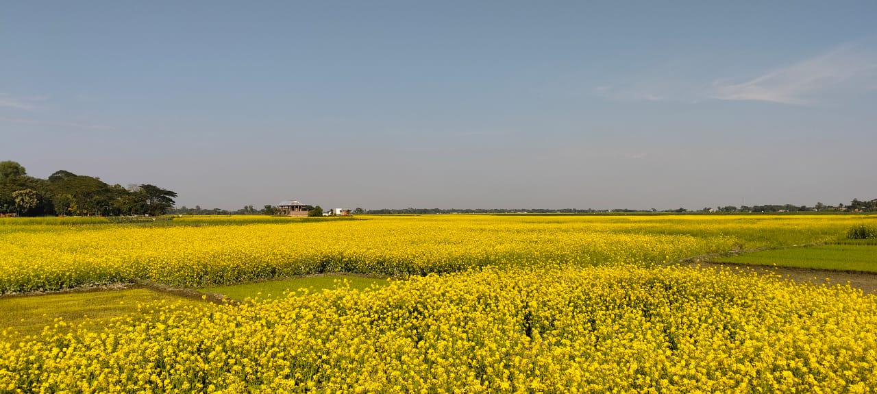 উপজেলা কৃষি কর্মকর্তার কার্যালয়