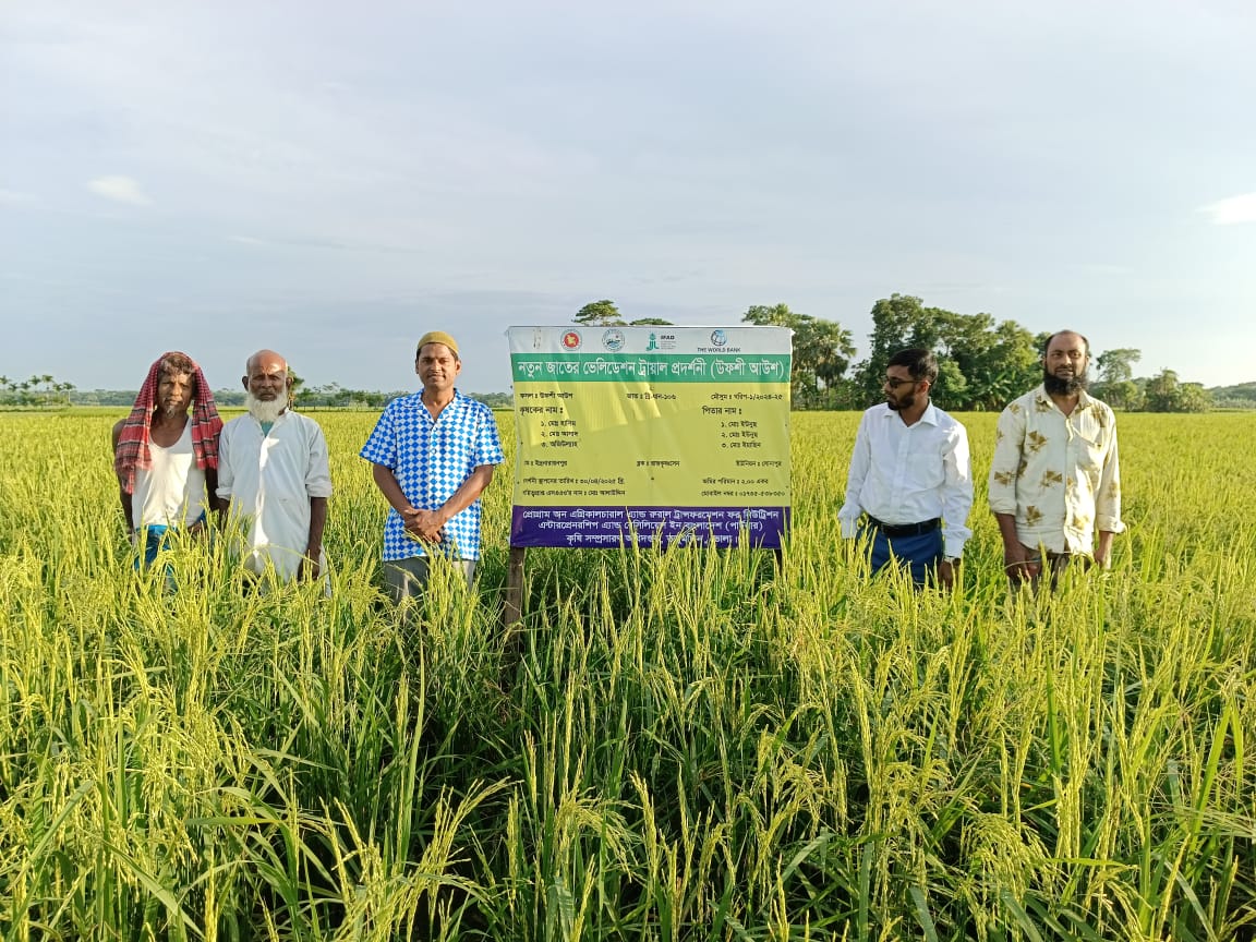 আউশ ধানের পদর্শনী প্লট