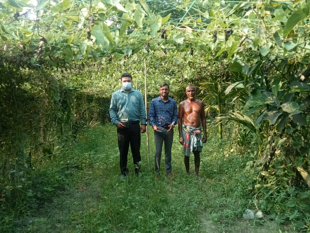 পটলের পদর্শনী প্লট