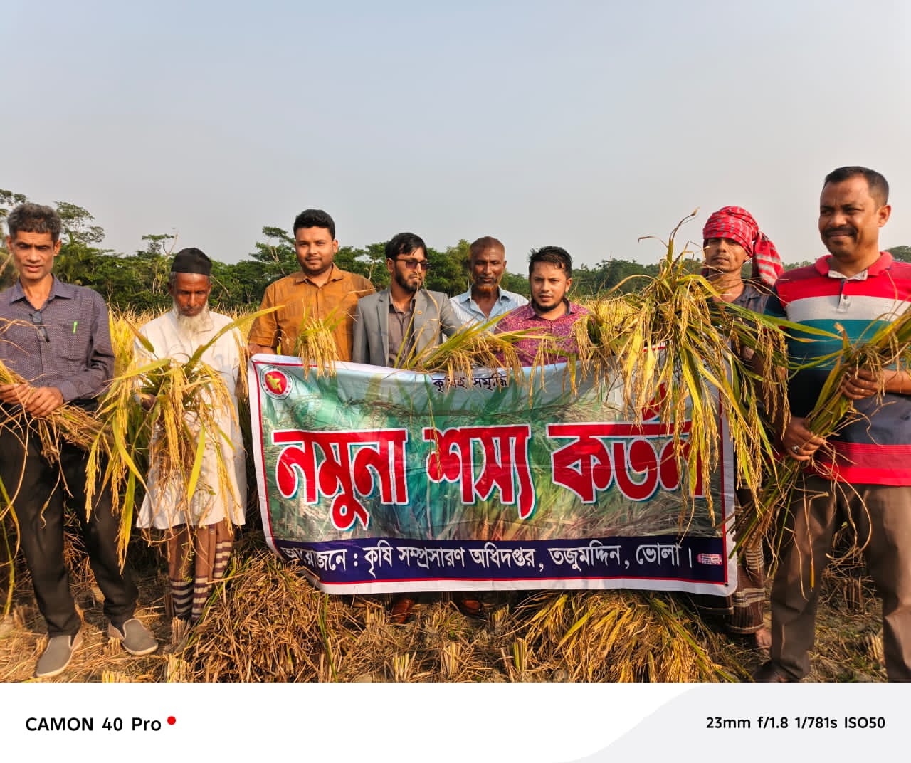 নমুনা শস্য কর্তন