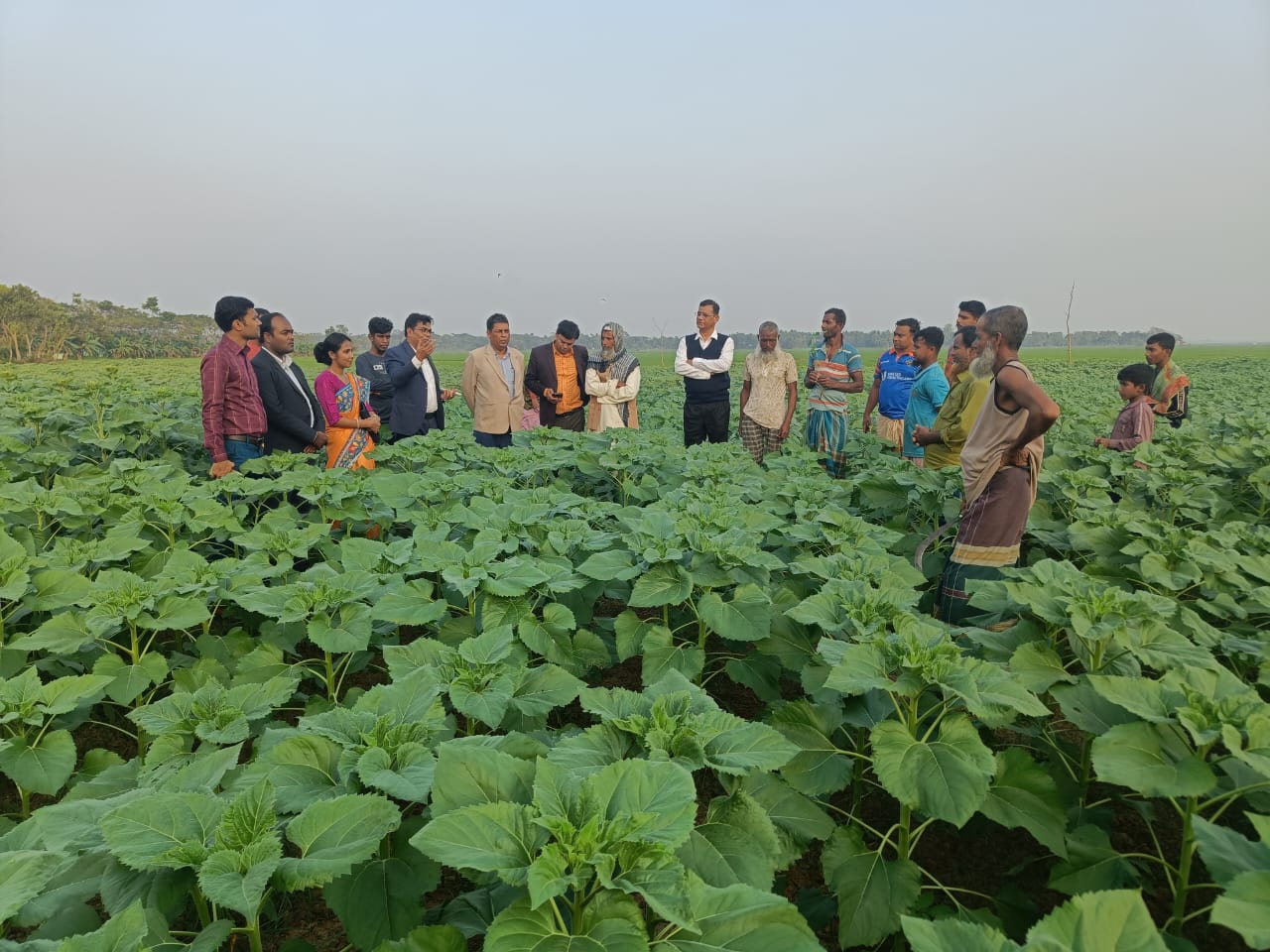 সূর্যমুখী ভিলেজ