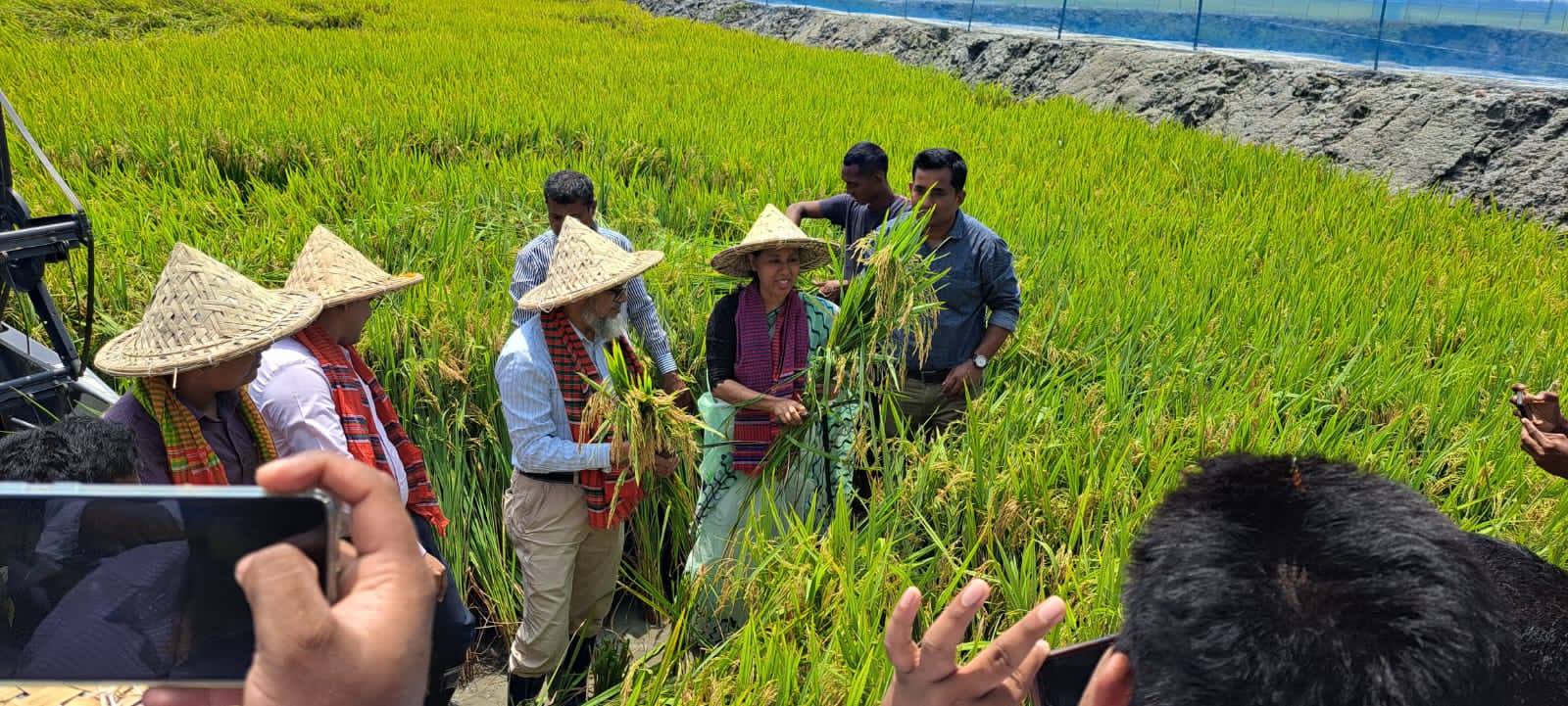 মাঠ দিবস