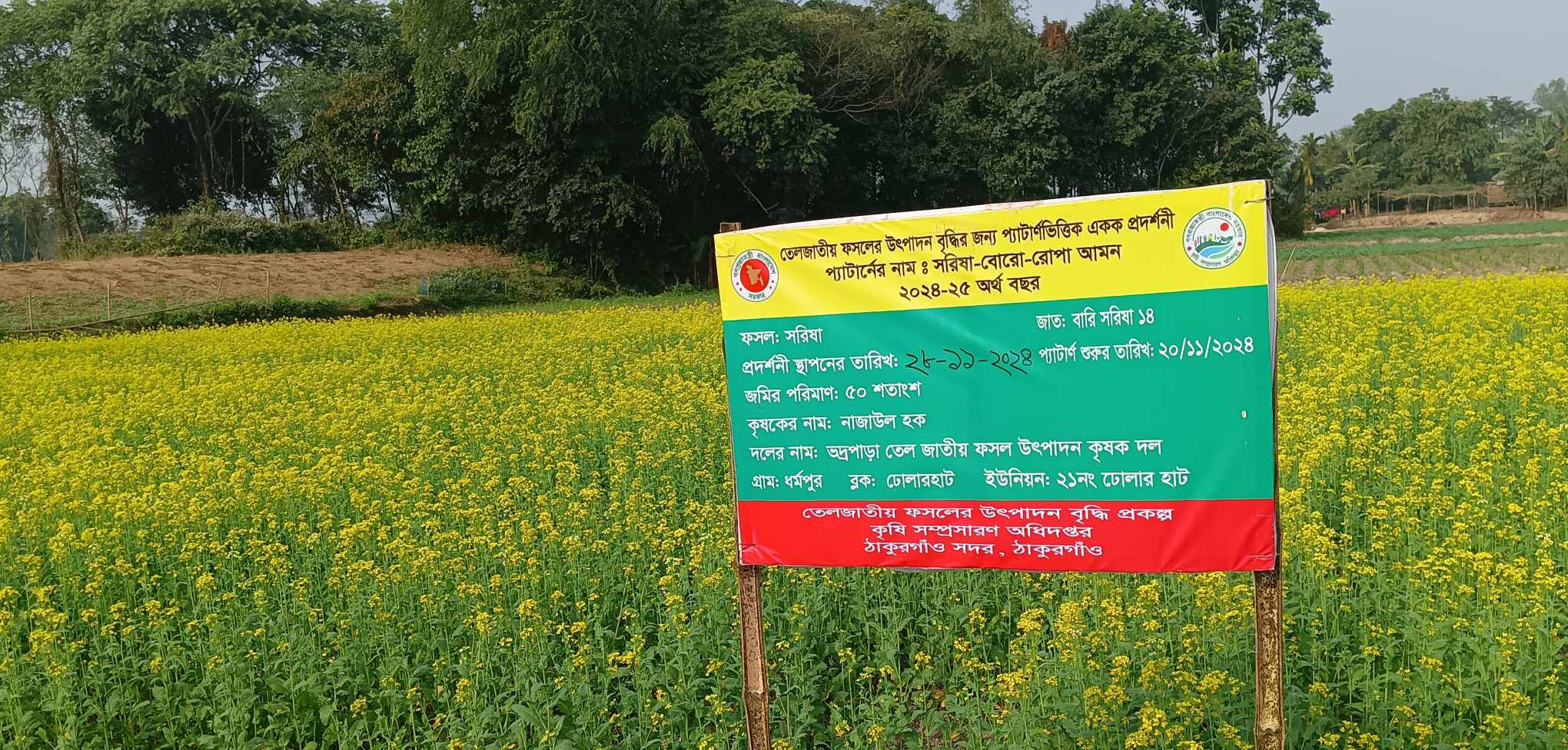 প্রদর্শনী