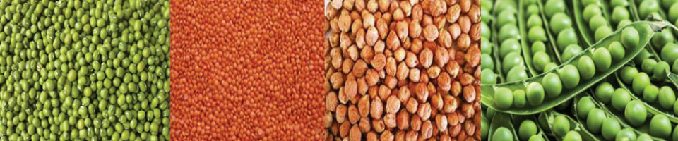 ডাল, মুগ, মটর