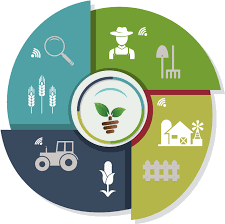 ফসল উৎপাদন প্রযুক্তি