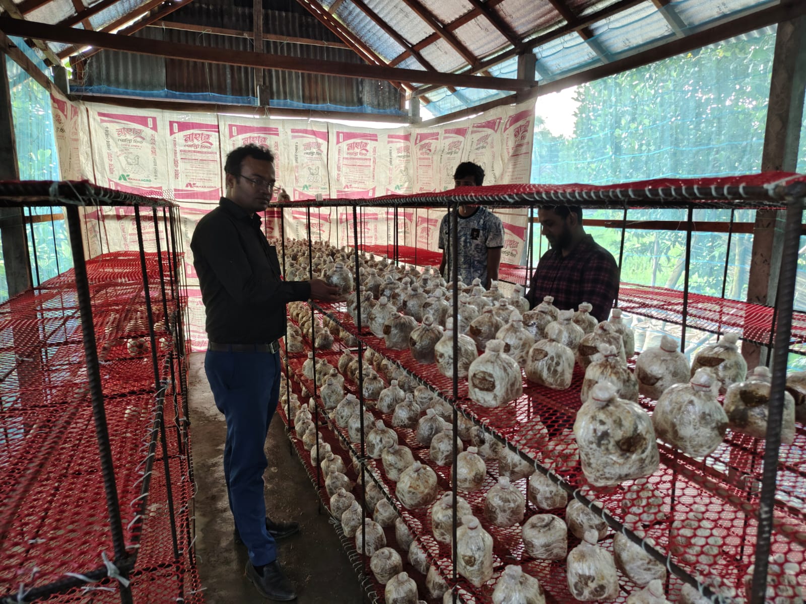 প্রদর্শনীর ছবি