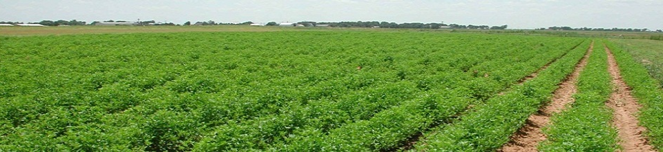 ব্যানার৫