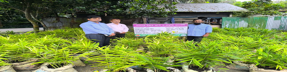 উপজেলা কৃষি অফিসারের কার্যালয়