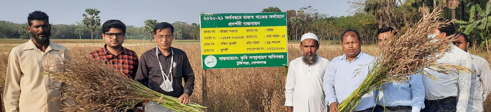 উপজেলা কৃষি অফিসারের কার্যালয়