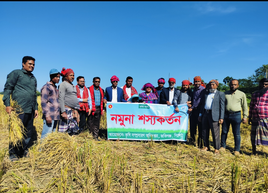 নমুনা শস্য কর্তন