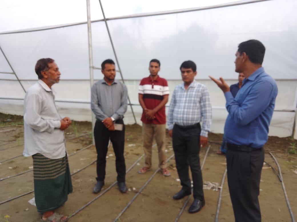 পলিশেড হাউজ