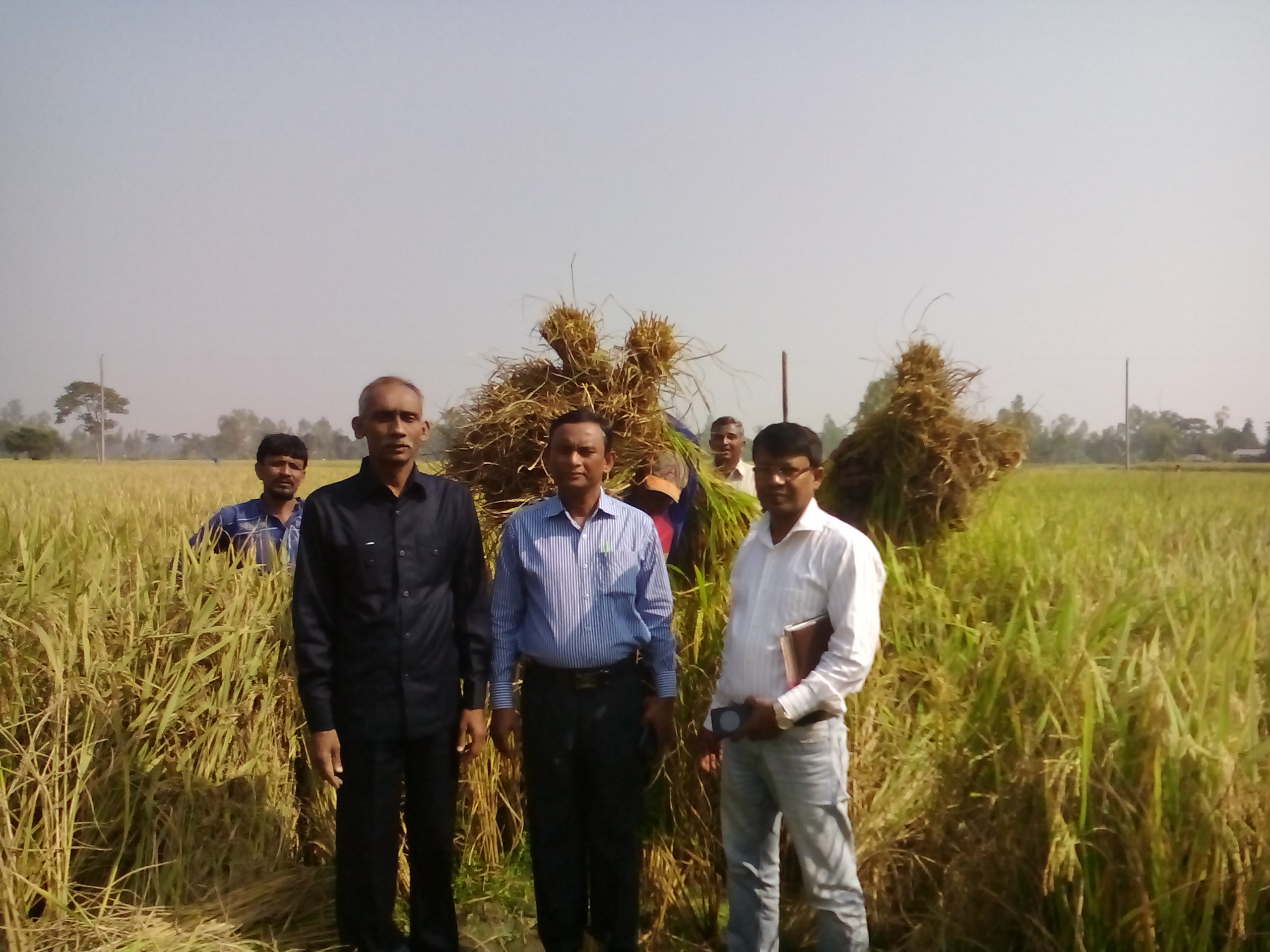 ফটোগ্যালারি