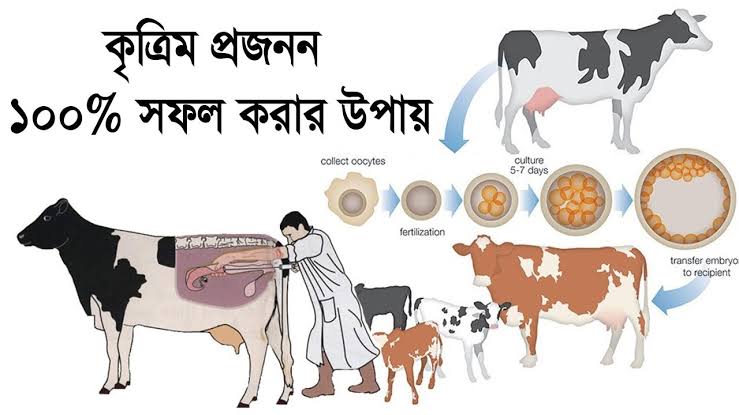 কৃত্রিম প্রজনন