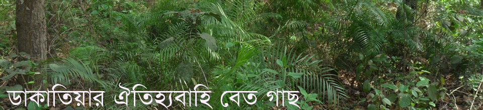 ডাকাতিয়া ইউনিয়ন