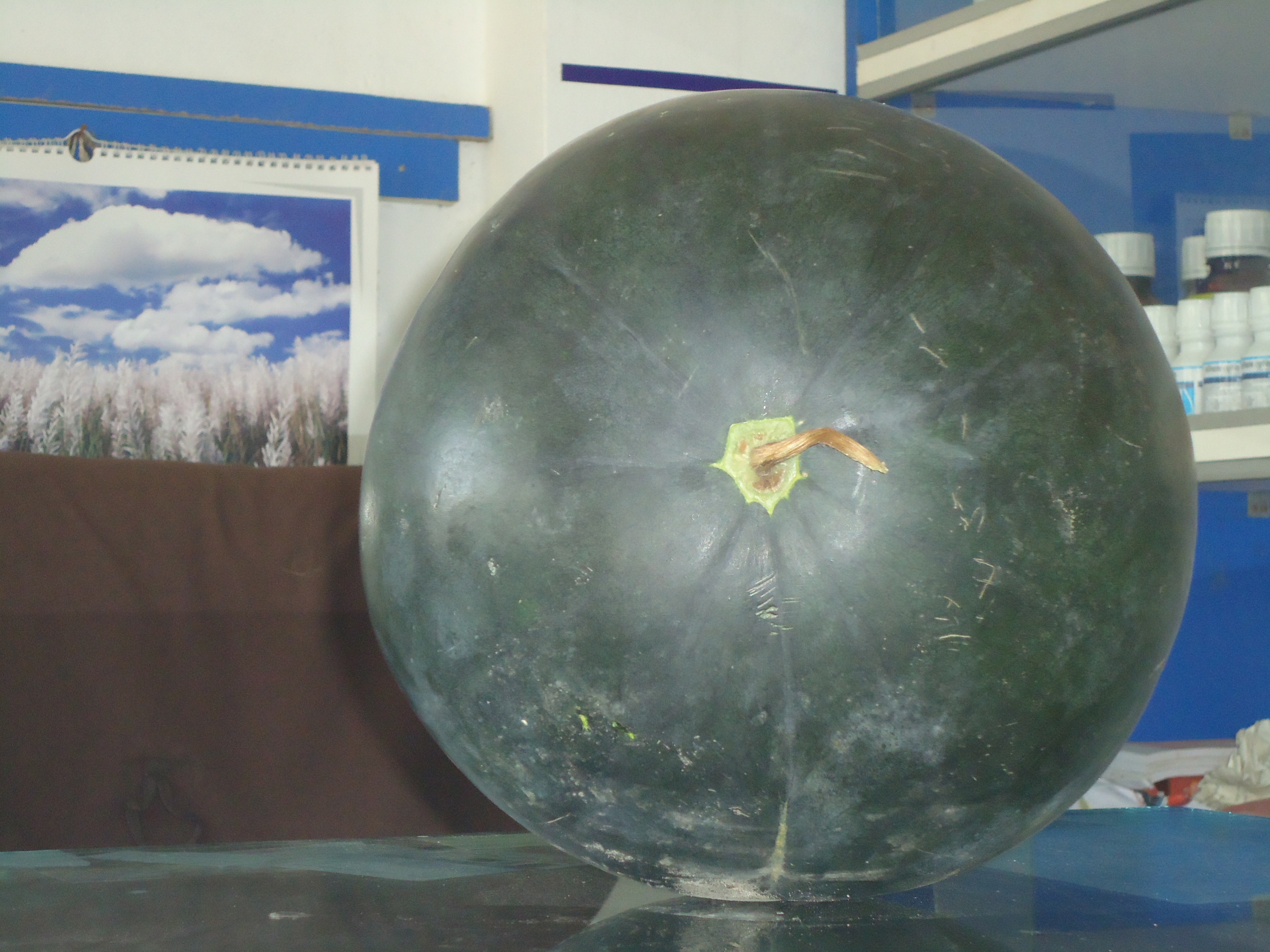 দাকোপ ইউনিয়ন