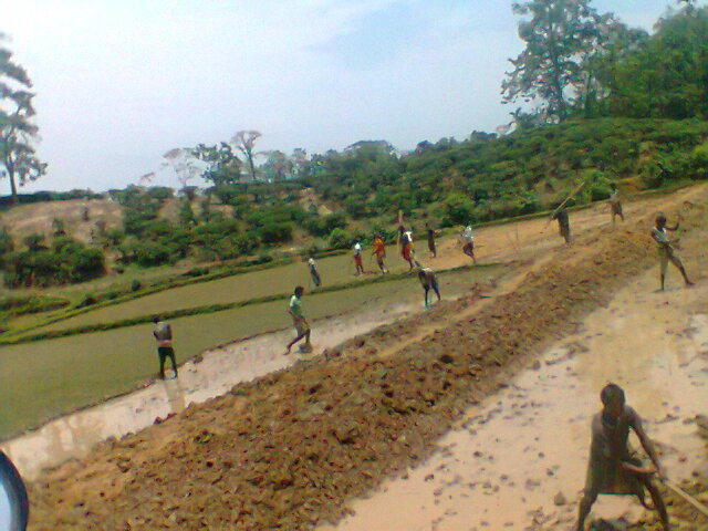 কর্মসৃজন ১৩-১৪ কাজের ছবি পাথারিয়া চা বাগান
