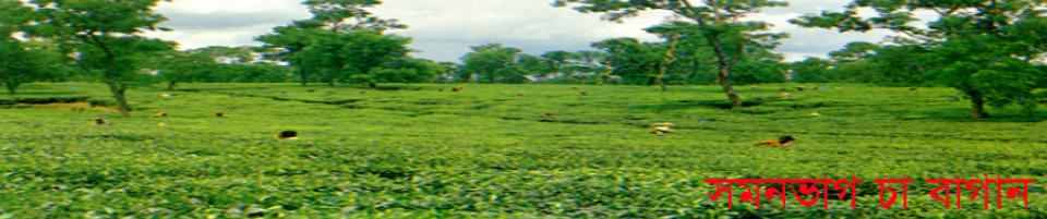 দক্ষিণভাগ (দক্ষিণ) ইউনিয়ন