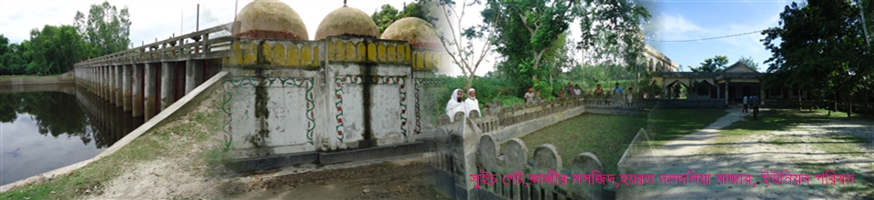 দলদলিয়া ইউনিয়ন