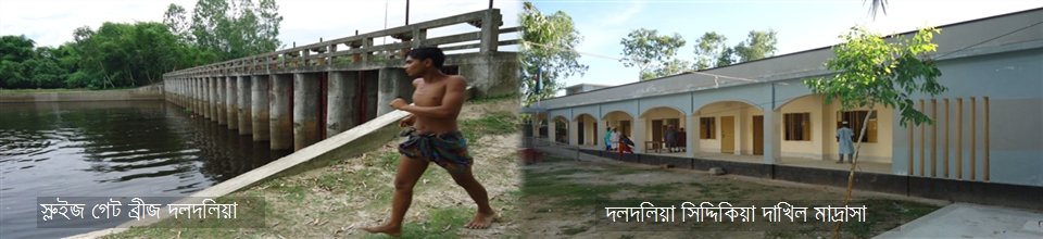 স্লুইজ গেট ব্রীজ দলদলিয়া দলদলিয়া সিদ্দিকা দাখিল মাদ্রাসা