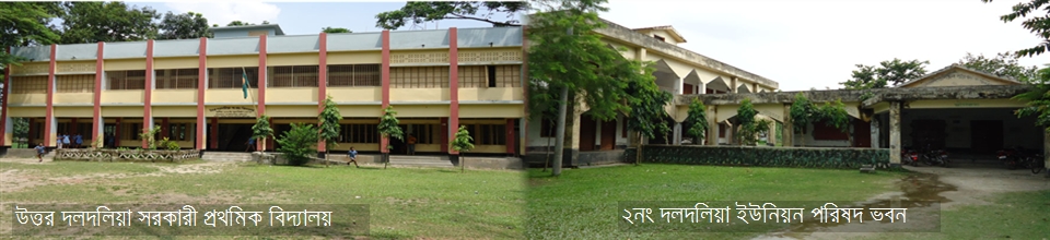 ২নং দলদলিয়া ইউনিয়ন পরিষদ ভবন উত্তর দলদলিয়া সরকারী প্রথমিক বিদ্যালয়