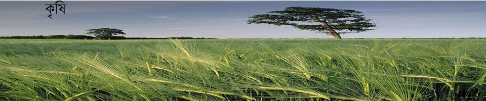 দলদলিয়া