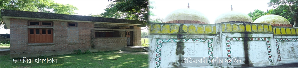 দলদলিয়া হাসপাতাল ঐতিহ্যবাহী কাজীর মসজিদ