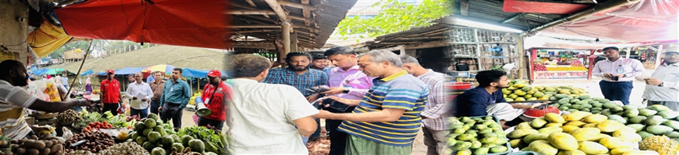 কৃষি পণ্যের বাজার মনিটরিং