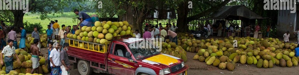 কৃষি বিপণন অধিদপ্তর গাজীপুর