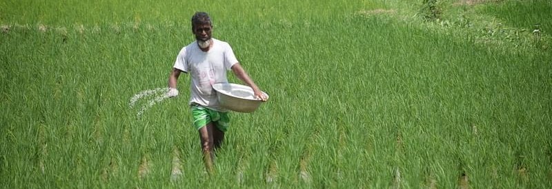 কৃষি বিপণন অধিদপ্তর, গাজীপুর