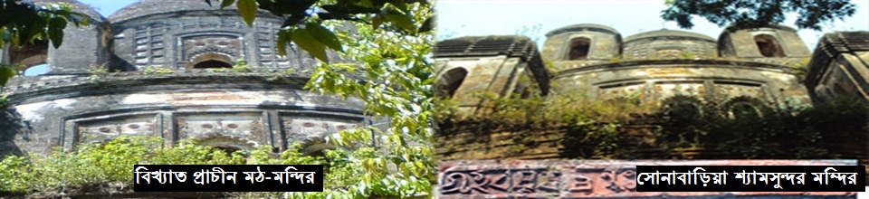 ব্যানার