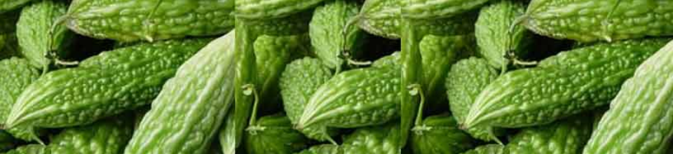 উচ্ছে সবজির ছবি