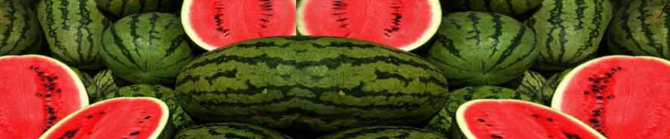 তরমুজের ছবি