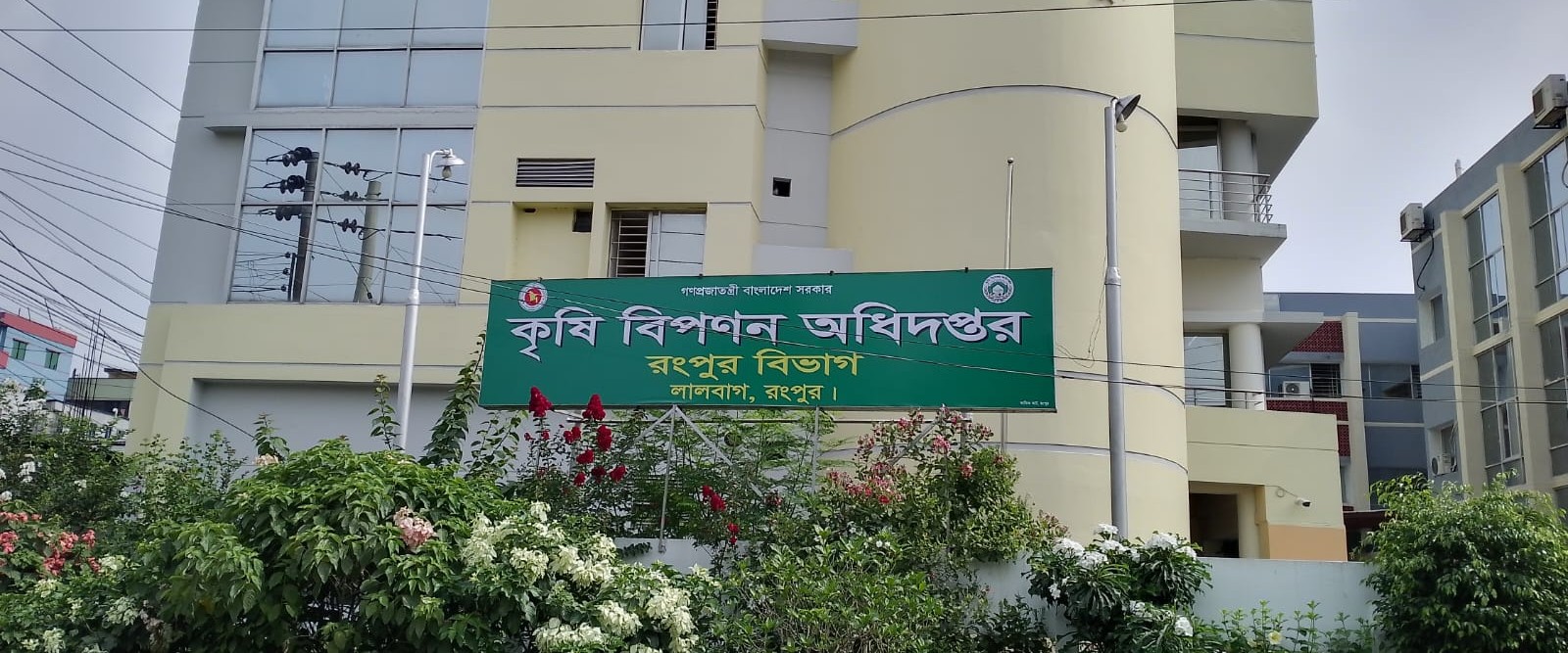 DD Office