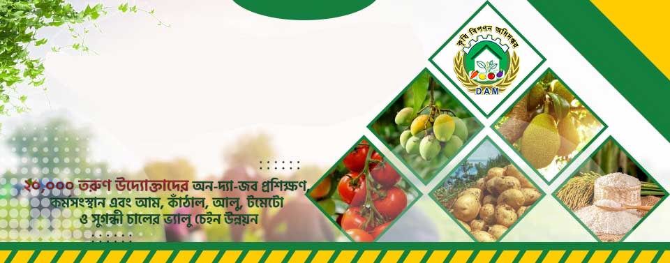 কৃষি বিপণন অধিদপ্তরের পার্টনার প্রকল্প