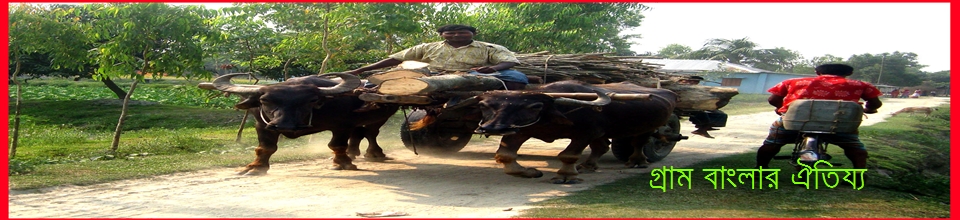 দামোদরপুর