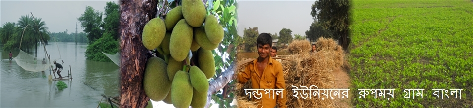 রুপময় দন্ডপাল ইউনিয়নের চোখ জুড়ানো দৃশ্য
