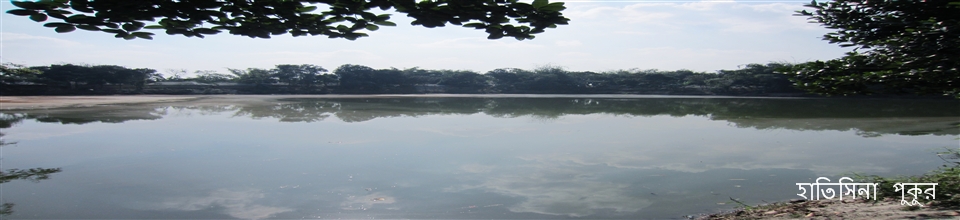 হাতিসিনা পুকুর একটি প্রাচীন পুকুর----